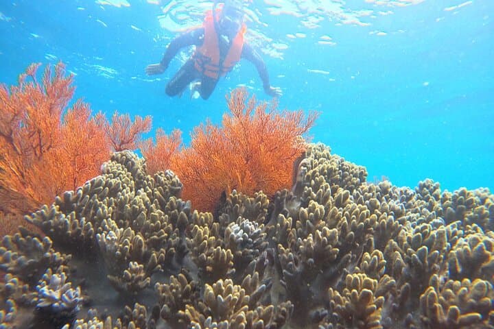 Nha Trang Island Hopping: Snorkel, Floating Bar & Beach Party Day Trip photo 3