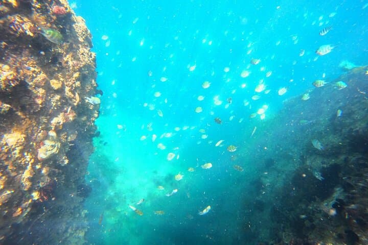 Nha Trang Island Hopping: Snorkel, Floating Bar & Beach Party Day Trip photo 4