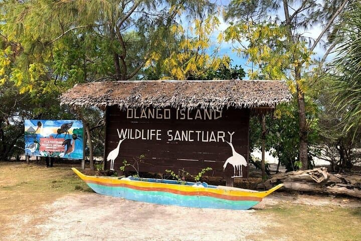 Olango Island Bird Watching and Snorkeling Day Trip from Cebu — Complete Day-Trip Guide photo 5