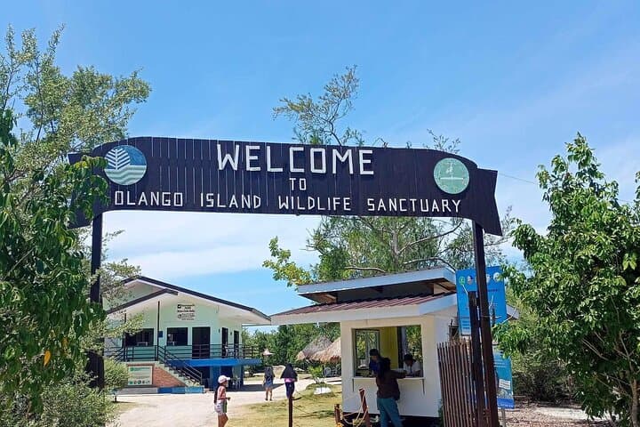 Olango Island Bird Watching and Snorkeling Day Trip from Cebu — Complete Day-Trip Guide photo 4