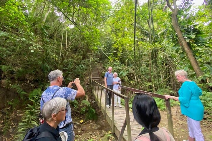 Manta Shore Tour: Pacoche Rainforest, Montecristi Hats & Turtle Beaches photo 4