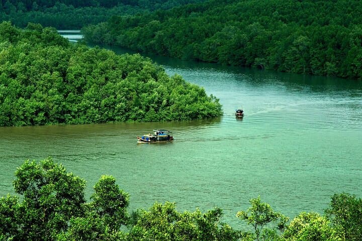 Can Gio Mangrove Forest Private Tour From Ho Chi Minh City — Monkey Island & Vam Sat Eco Park photo 1