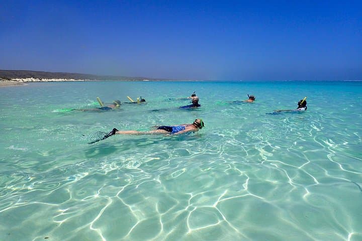 Ningaloo Reef Snorkel Adventure — Shore Snorkeling at Turquoise Bay from Exmouth photo 3