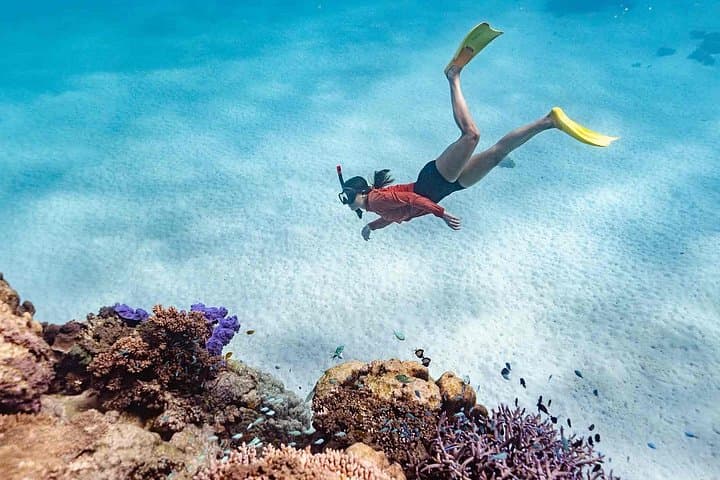 Ningaloo Reef Snorkel Adventure — Shore Snorkeling at Turquoise Bay from Exmouth