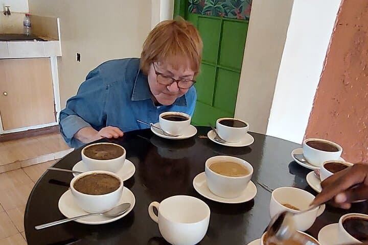 Coffee Farm Tour from Nairobi — Plantation Walk, Processing Mill & Tasting