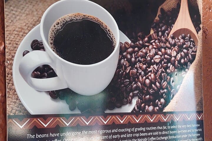 Coffee Farm Tour from Nairobi — Plantation Walk, Processing Mill & Tasting photo 3