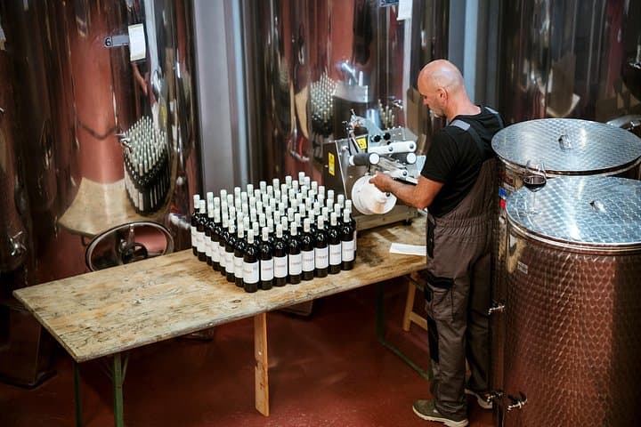 Škurla Winery Tasting Near Ston — Pelješac Wines & Oysters photo 6