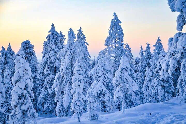 Full-Day Snowmobile Safari in Rovaniemi: Arctic Wilderness Ride photo 6