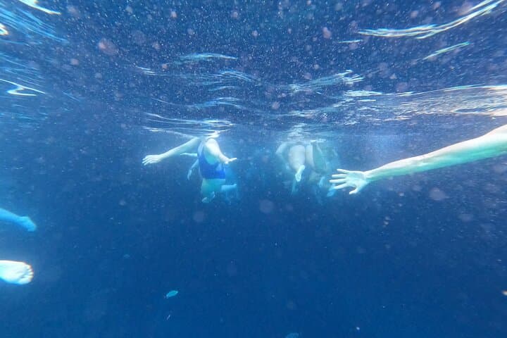 Blue Cave & Elaphiti Islands Half-Day Private Boat Tour from Dubrovnik photo 4