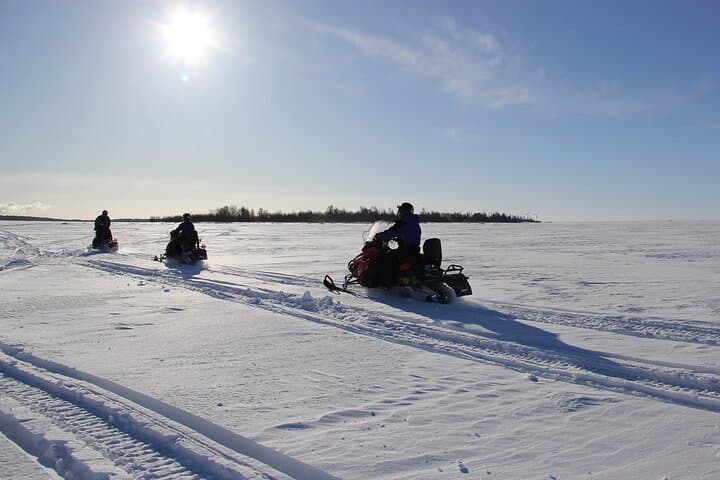 Snowmobile Adventure in Lapland: Explore Arctic Wilderness on a Thrilling Ride photo 3