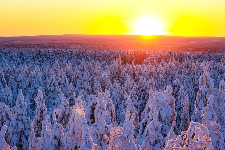 Snowmobile Adventure in Lapland: Explore Arctic Wilderness on a Thrilling Ride photo 6