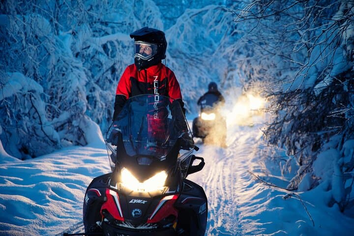 Northern Lights Snowmobile Tour in Rovaniemi: Arctic Night Ride & Campfire