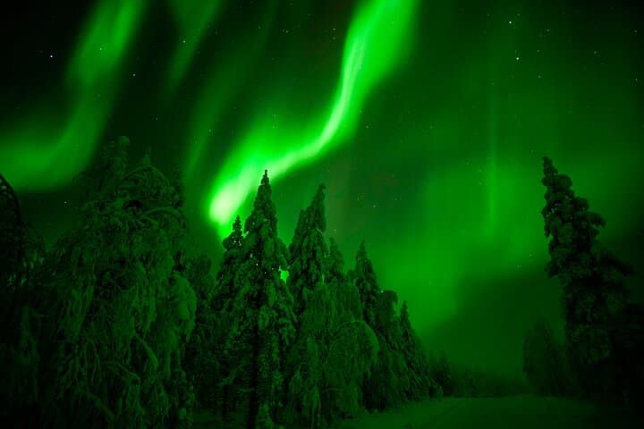 Northern Lights Snowmobile Tour in Rovaniemi: Arctic Night Ride & Campfire photo 3