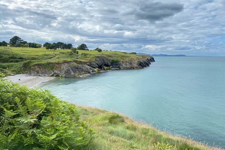 Dublin to Wicklow Cliffs Day Tour: Coastal Walks, Wildlife and Gaol History