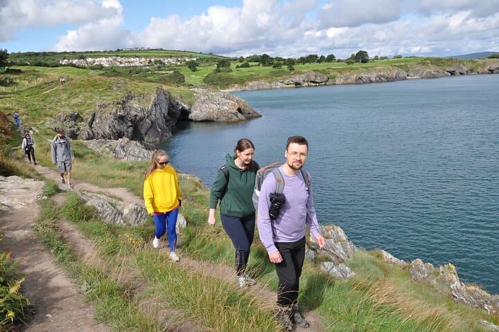 Dublin to Wicklow Cliffs Day Tour: Coastal Walks, Wildlife and Gaol History photo 6