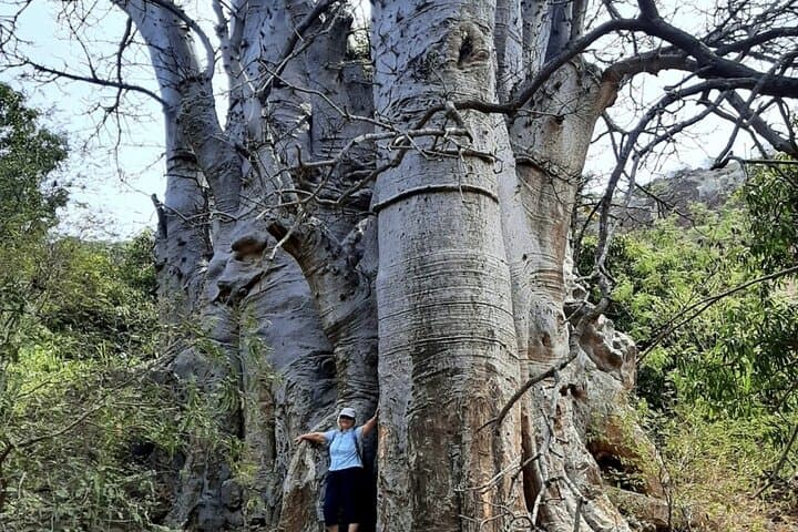 Praia to Cidade Velha: Baobab & Calabaceira Valley Guided Hike