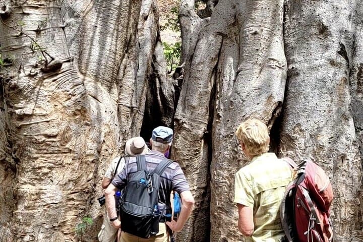 Praia to Cidade Velha: Baobab & Calabaceira Valley Guided Hike photo 4