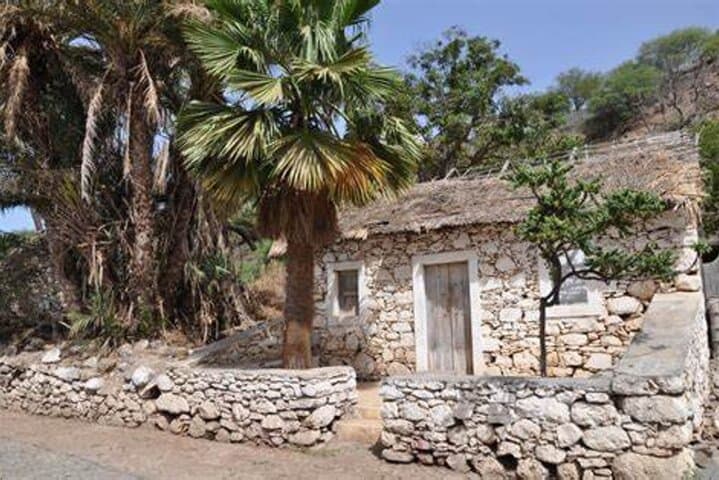Praia to Cidade Velha: Baobab & Calabaceira Valley Guided Hike photo 6