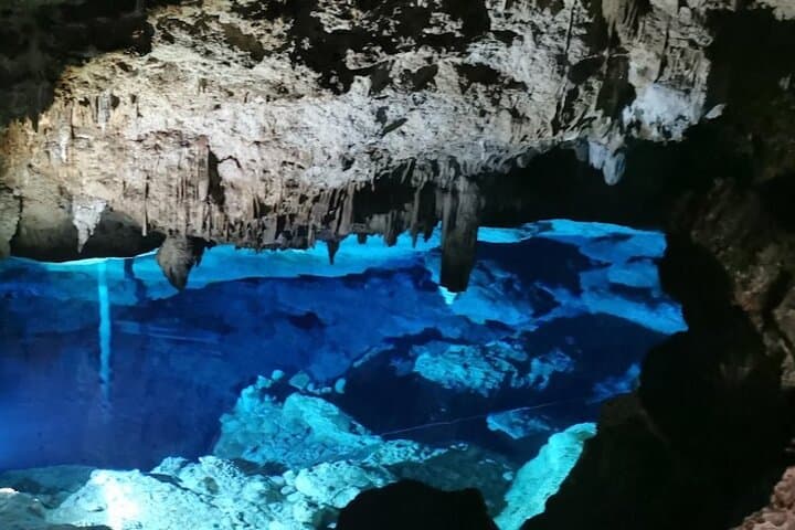 Snorkeling the Hidden Cenotes of Bayahibe: Jungle Caves & Crystal Waters photo 4