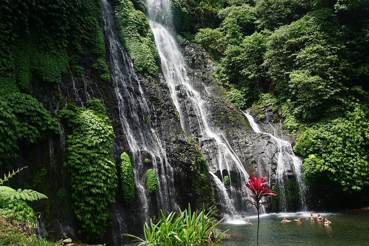 Bali: Misty Highlands, Temples & Handara Gate — Day Tour from Seminyak photo 6