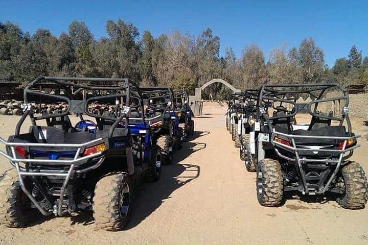 Ride the Sinai: ATV and Buggy Desert Safari from Sharm El Sheikh photo 3