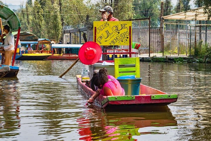 Xochimilco Trajinera Tour: Private Floating Canals & Chinampas from Mexico City photo 4