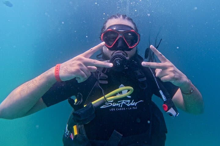 Learn to Dive in Los Cabos: SSI Open Water Course at Pelican Rock & North Wall