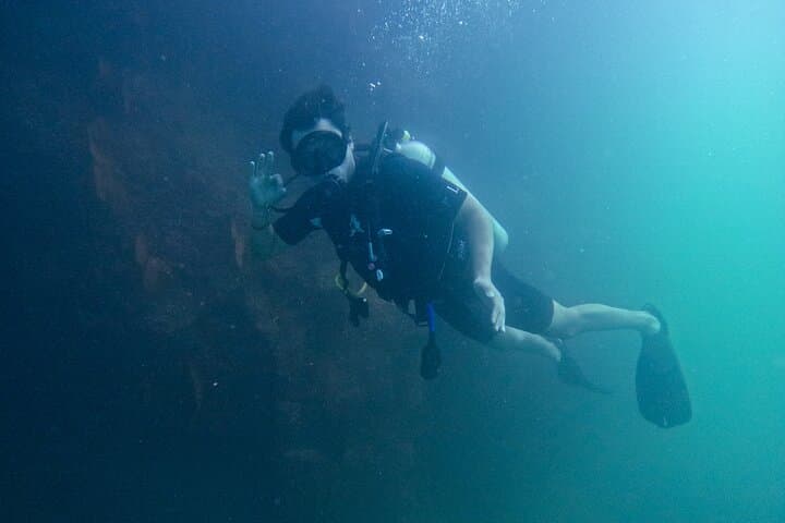 Learn to Dive in Los Cabos: SSI Open Water Course at Pelican Rock & North Wall photo 2