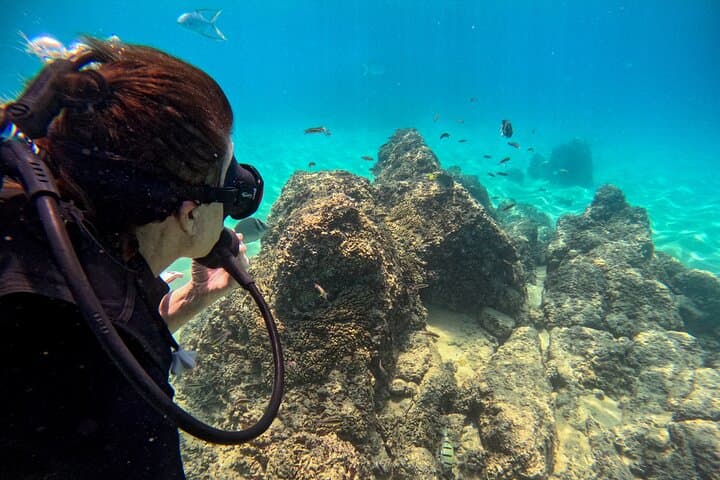 Learn to Dive in Los Cabos: SSI Open Water Course at Pelican Rock & North Wall photo 3