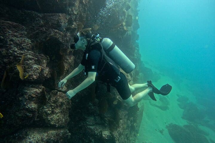 Learn to Dive in Los Cabos: SSI Open Water Course at Pelican Rock & North Wall photo 5