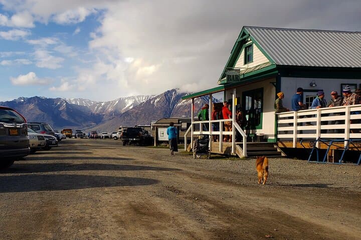 11-Day Grand Alaska Highlights Tour — Denali, Valdez & Wrangell-St. Elias Adventure photo 6
