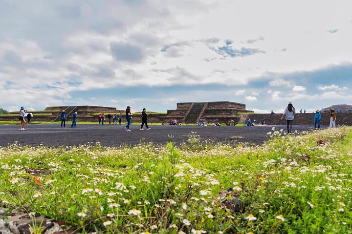 Private Half-Day Teotihuacan Tour: Pyramids, Causeway & Agave Tasting photo 6