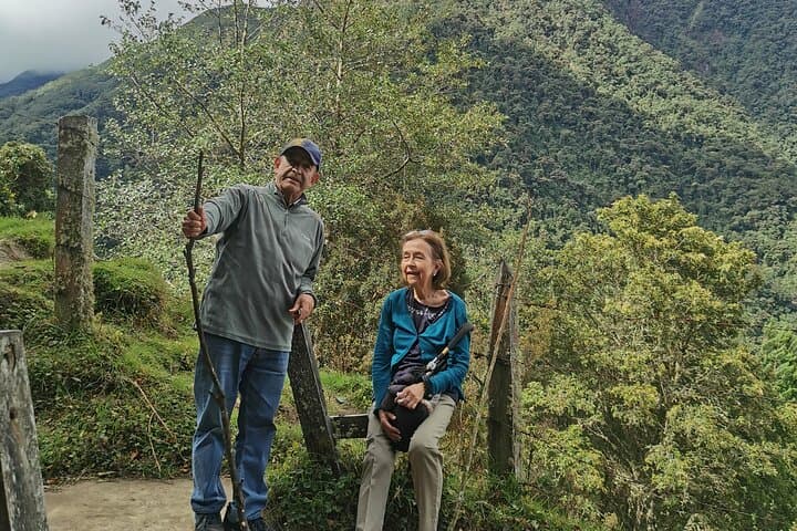 Half-Day Cocora Serenity: Hike the Wax Palm Valley from Salento photo 4