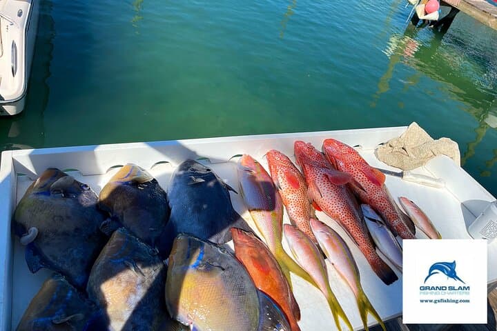 Providenciales Private Fishing, Snorkel & Desert-Island Cruise (6-Hour) photo 5