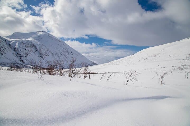 Arctic Landscapes: Hiking & Snowshoeing Private Tour from Tromsø photo 5