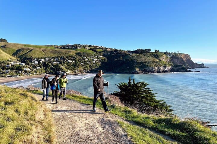 Discover the Wonders of Godley Head: Guided Walking Tour & Picnic photo 4