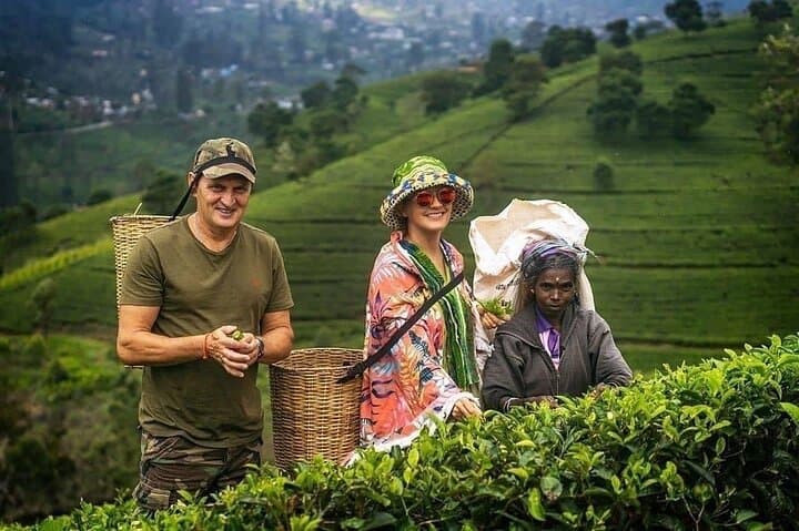 14-Day Sri Lanka Highlights: Cultural Classics, Tea Country & Wildlife