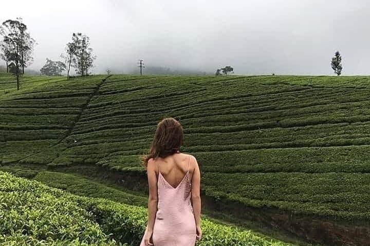 14-Day Sri Lanka Highlights: Cultural Classics, Tea Country & Wildlife photo 3
