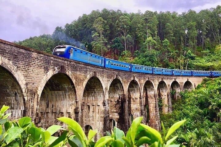 14-Day Sri Lanka Highlights: Cultural Classics, Tea Country & Wildlife photo 6