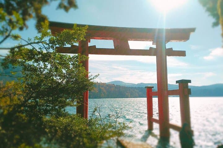 Mt Fuji & Hakone Day Tour: 5th Station, Lake Ashi Cruise & Shinkansen Return photo 6