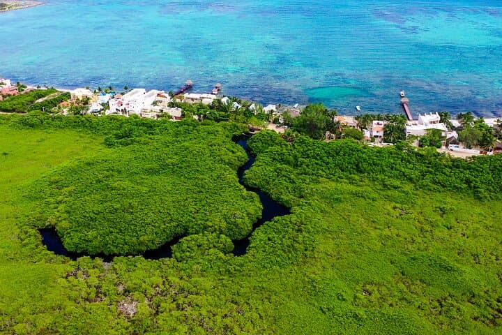Tulum 2-Cenotes Guided Snorkeling — Casa Cenote & Sac Actun Adventure photo 4