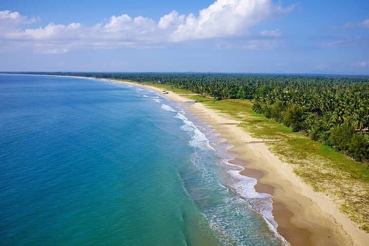 Sri Lanka 7-Day Cultural & Wildlife Loop: Sigiriya, Kandy, Ella and Yala