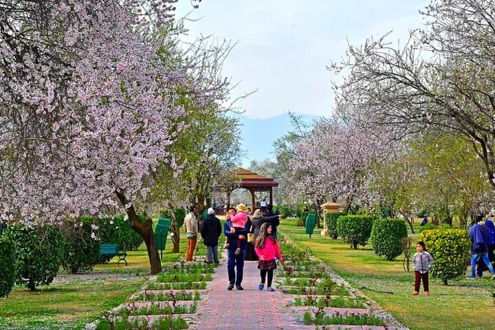 4-Day Kashmir Getaway from Srinagar: Gulmarg, Pahalgam & Houseboat Experience photo 3
