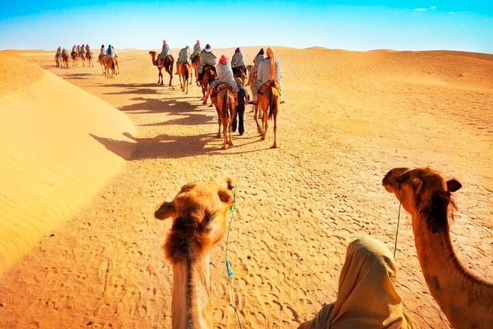 Doha Gentle Sands: Calming Desert Experience Without Dune Bashing photo 4