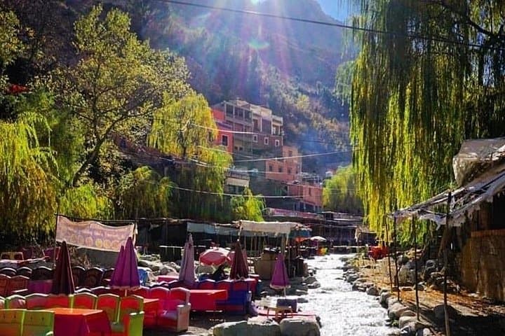 Ourika Valley Day Trip from Marrakech: Waterfalls, Berber Villages & Argan Groves photo 3