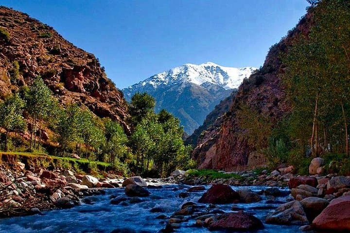 Ourika Valley Day Trip from Marrakech: Waterfalls, Berber Villages & Atlas Views photo 3