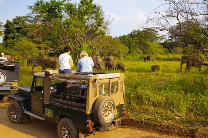 Central Sri Lanka 3-Day Cultural & Wildlife Circuit from Colombo photo 3