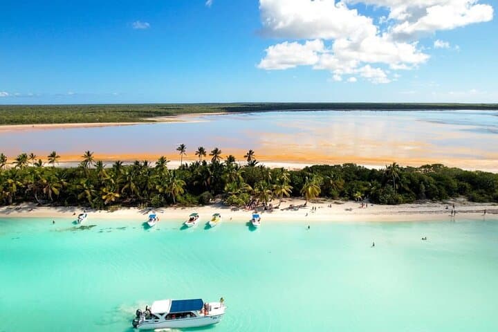Day Trip to Isla Saona from Punta Cana: Catamaran, Natural Pool & Beach Lunch photo 4