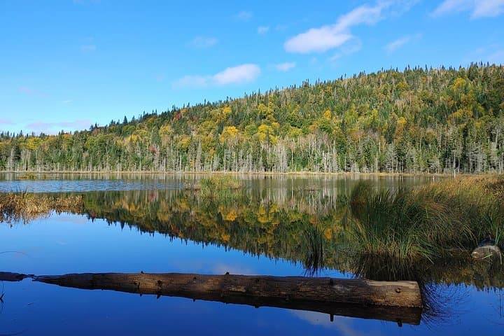 Mont-Orford Hiking: Le Mont-Chauve Summit & Stukely Lake Lookouts photo 3