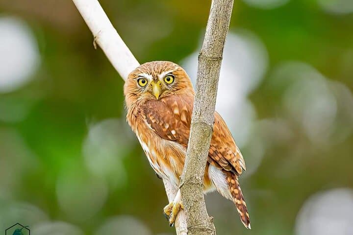 Full-Day Churute Mangroves Reserve & Cocoa Farm Tour from Guayaquil photo 3